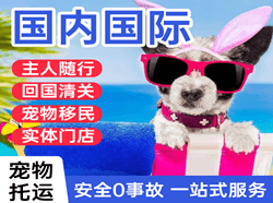 云冈机场托运国际宠物托运 【国